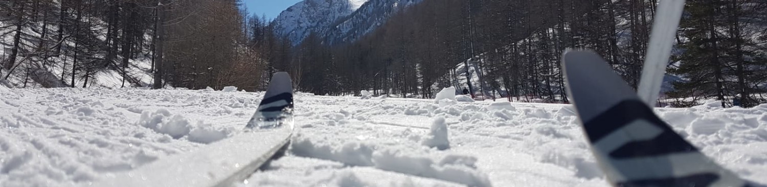 Elleciemme Video Produzioni